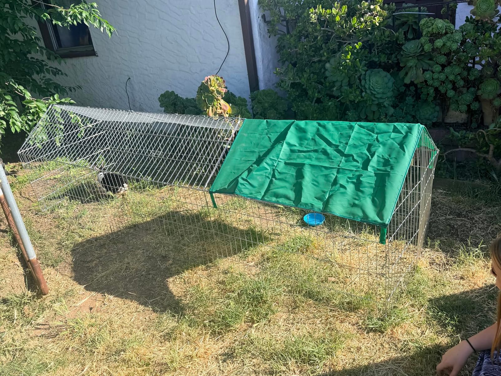 PawHut Metal Chicken Coop Chicken Run with Cover 106