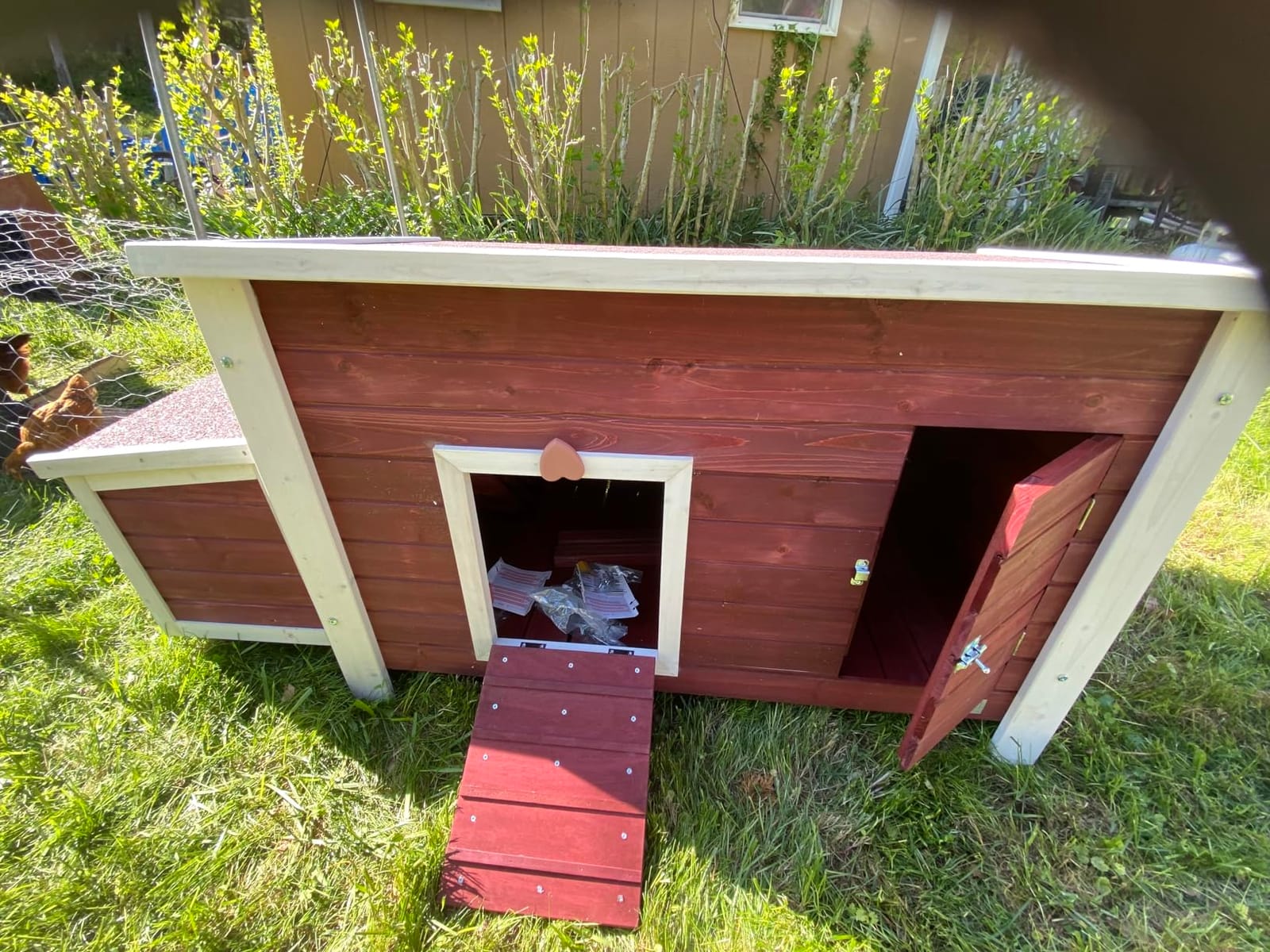 Petsfit Outdoor Chicken Coop with Run for 4-6 Chickens, 3 Nesting Boxes customer photo 2