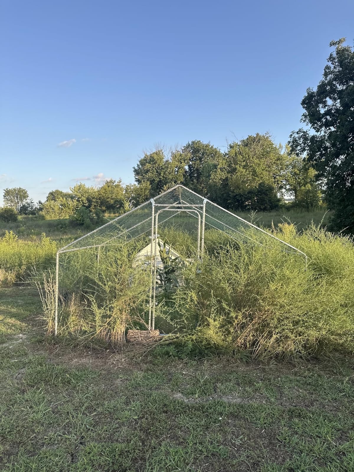 9.9x13.2 FT Metal Chicken Coop, Walk-in Poultry Run Enclosure customer photo 1