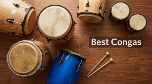 Best Congas