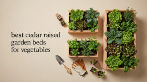 best cedar raised garden beds for vegetables