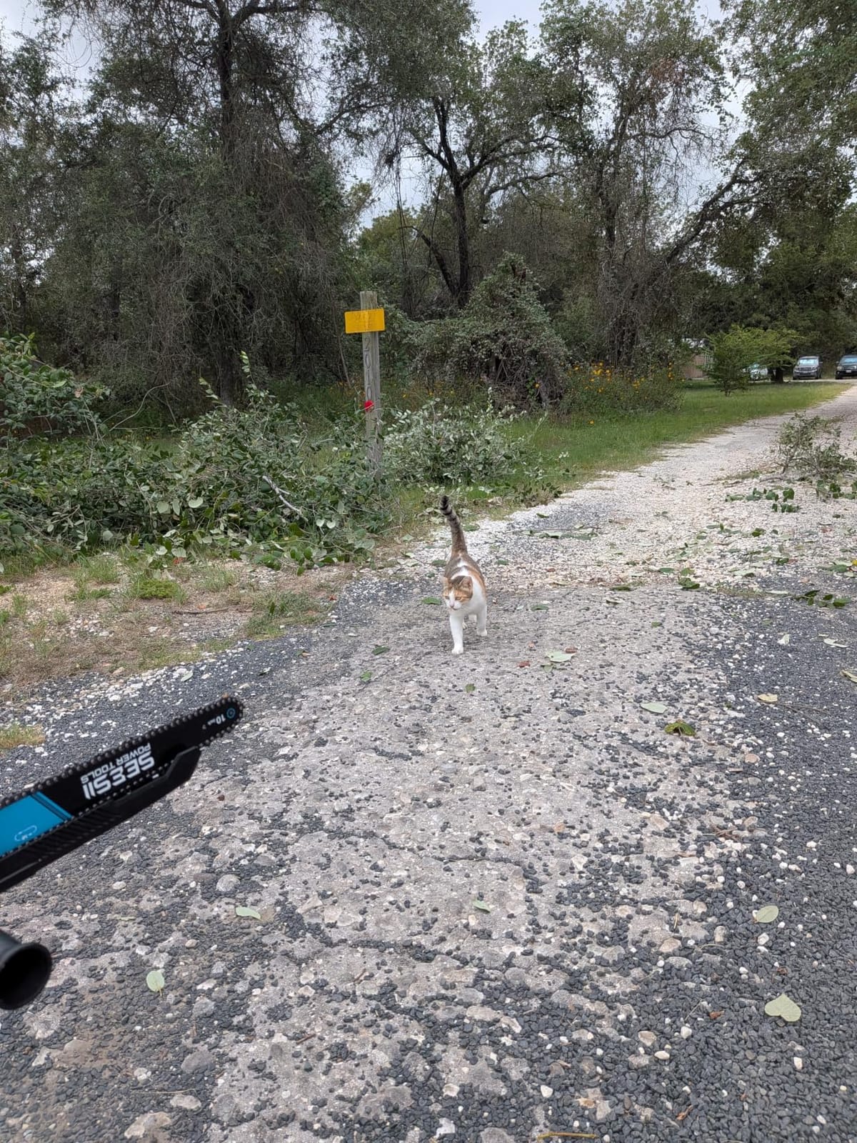 SEESII 10-Inch 2-in-1 Cordless Pole Saw & Mini Chainsaw,2 x 4.0Ah Batteries customer photo 2