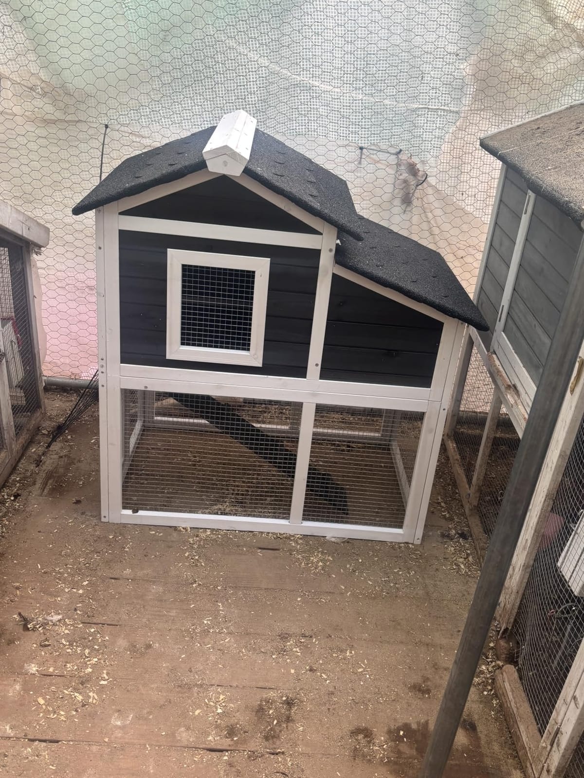 Small Chicken Coop for 2 ChickensIndoor Outdoor customer photo 1